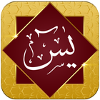 Surah Yasin offline - Translation and Audio 图标