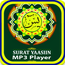 Surah Yasin Audio, یاسین , یس APK