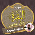 ”سورة البقرة دون نت سعود الشريم