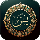 Surata Yaseen (سورة يس) ícone