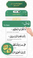 Surat Yasin( سورة يس) تصوير الشاشة 3
