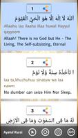 Surah Yasin, Ar-Rahman Audio تصوير الشاشة 3