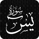 Sura Yaseen-Leer Sura Yasin APK
