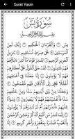 Surat Yasin & Tahlil Terjemaha 截图 3