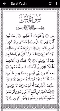 Screenshot 4 for Surat Yasin & Tahlil Terjemaha