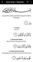 Surat Yasin & Tahlil Terjemaha 截图 2