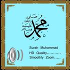 Surah Muhammad アイコン