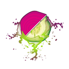 Flavor Juicery icon