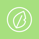 Sallys Salads APK