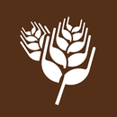 Papparoti US APK