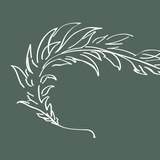 Petworth Places APK