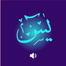 Surh Yaseen 2021 : Mp3 Audio o APK