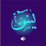 Surh Yaseen 2021 : Mp3 Audio offline & Translation icono