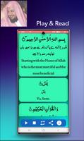 Surh Yaseen 2021 : Mp3 Audio offline & Translation स्क्रीनशॉट 1