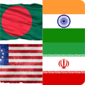 Guess Flag