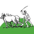 Kamma Icon