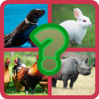 QUIZ NAME THE ANIMALS 图标