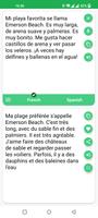 French - Spanish Translator تصوير الشاشة 1