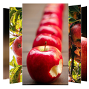 Apple Wallpaper APK