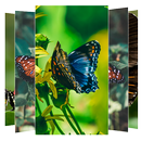 Butterfly Wallpapers APK