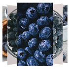 Blueberry Wallpaper icon