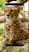 Cheetah Wallpapers capture d'écran 1