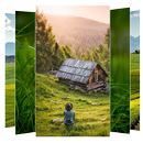 Grass Wallpapers and Backgroun APK