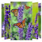 Lavender Flower Wallpapers icon