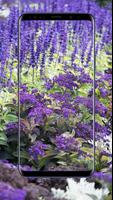 Lavender Flower Wallpapers Ekran Görüntüsü 3