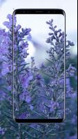 برنامه‌نما Lavender Flower Wallpapers عکس از صفحه