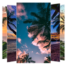 Palm Tree Wallpapers and Backg APK