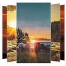 Sun Wallpapers and Backgrounds APK