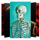 Skeleton Wallpapers and Backgrounds APK