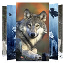 Wolf Wallpapers APK