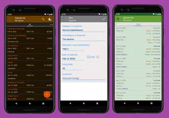 Descargar XAPK de Los gastos de vehículo