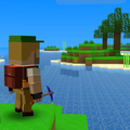 ”Island Surv