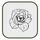 Learn to Draw Flowers: Easily APK