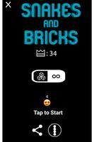 Snakes And Bricks โปสเตอร์