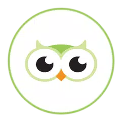 Sowa Pro Guide