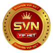 SVN VIP TUNNEL