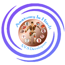 APK Anatomy & Physiology In Hindi