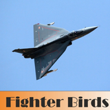 Fighter Birds آئیکن