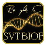 cour Consommation de la matièr