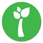 Ornua Spring Wellbeing icon