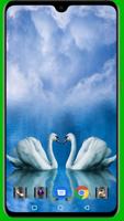 Swan Wallpaper screenshot 3