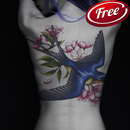 Swallow Tattoo APK