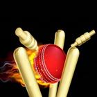 Play Cricket Game icône