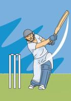 Play Cricket Game Affiche