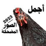 صور مضحكة جدا