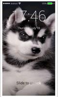 Husky Puppy HD Free PIN Lock screen Passcode Ekran Görüntüsü 2